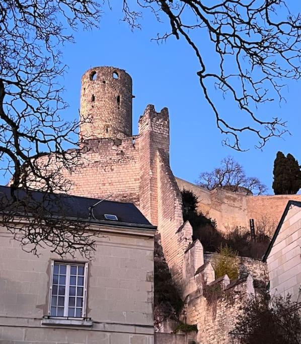La Tour De L Horloge, Appt Typique A 500M Du Chateau Шинон Екстериор снимка
